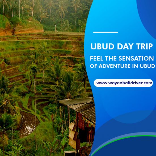 Ubud Day Trip, Feel the Sensation of Adventure in Ubud